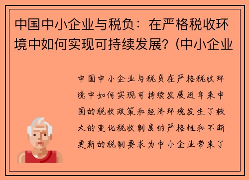 中国中小企业与税负：在严格税收环境中如何实现可持续发展？(中小企业税负情况分析)